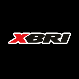 XBRI